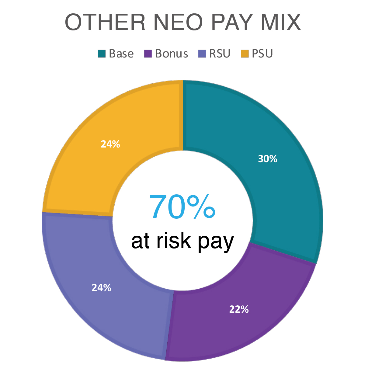 Other NEO Pay Mix.jpg